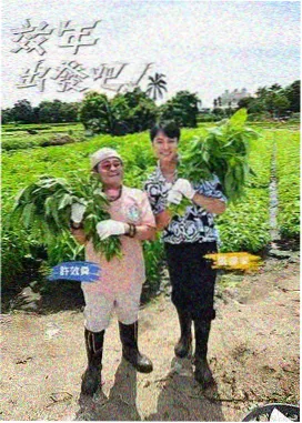 旧物新生 生活治愈综艺海报